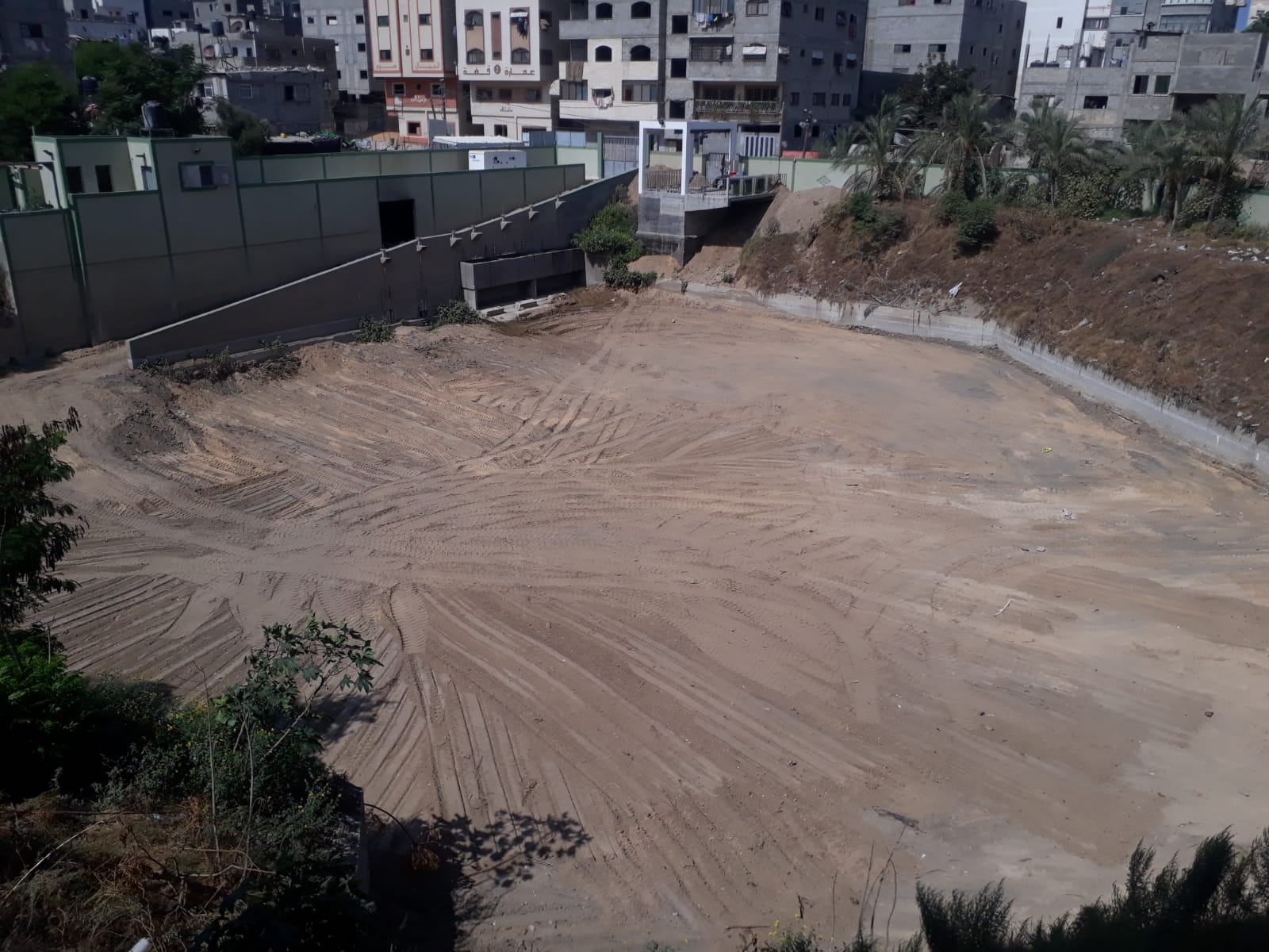 بركة الصفطاوي