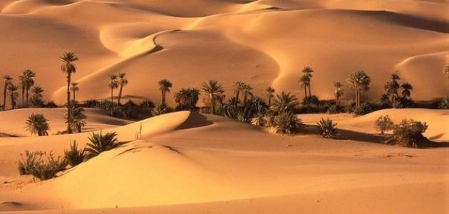 الرمال في قطاع غزة